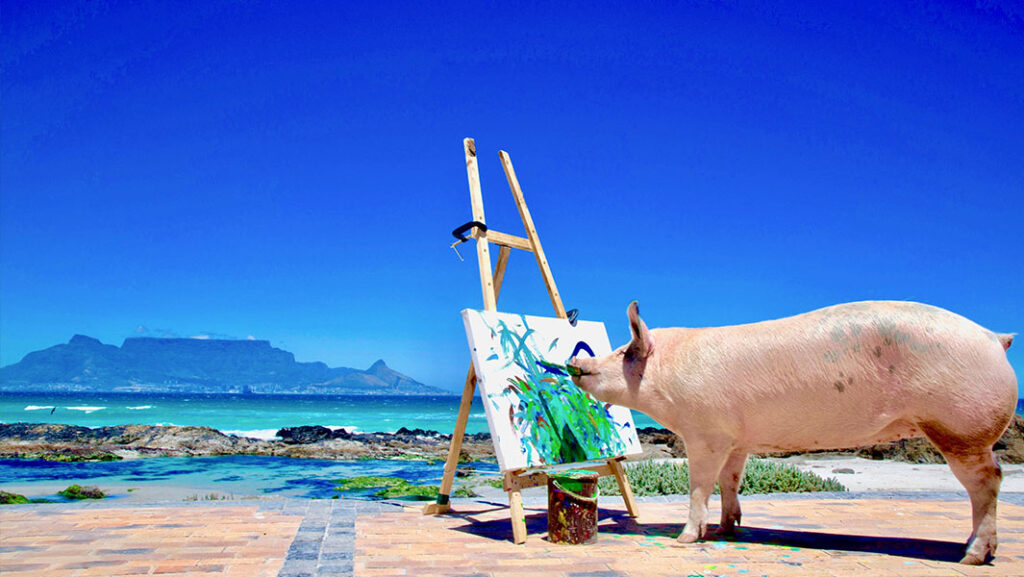 Pigcasso